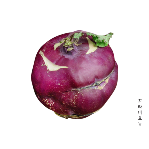 콜라비 효능│콜라비 효능 알고 드세요!