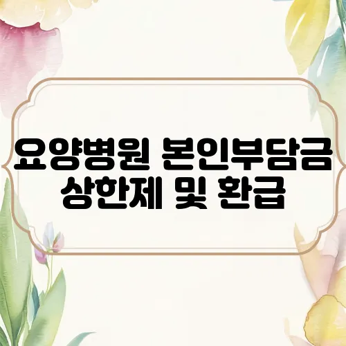 요양병원 본인부담금 상한제 및 환급