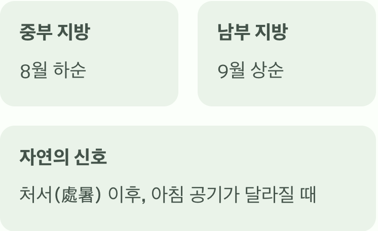 속이 꽉 찬 명품 배추, 최적의 시점 찾기