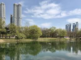 2024 별 헤는 서울숲 프로그램