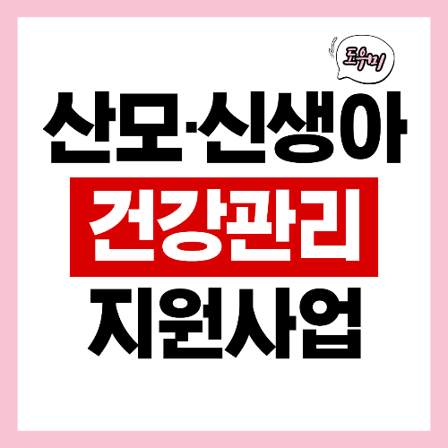 산후도우미 정부지원