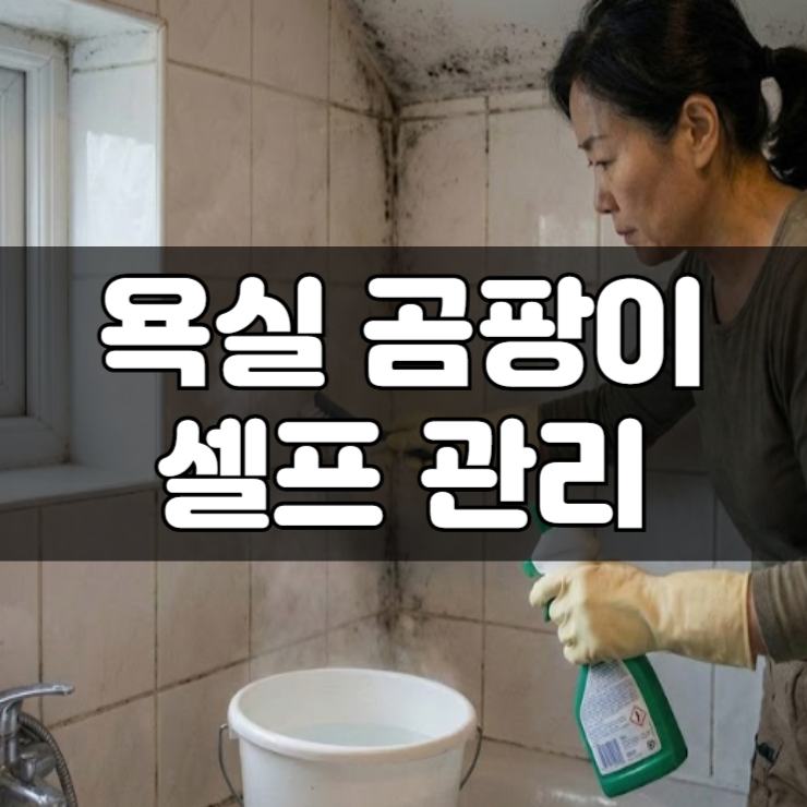 욕실 곰팡이 청소 관리
