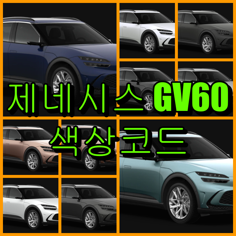 GV60 색상코드
