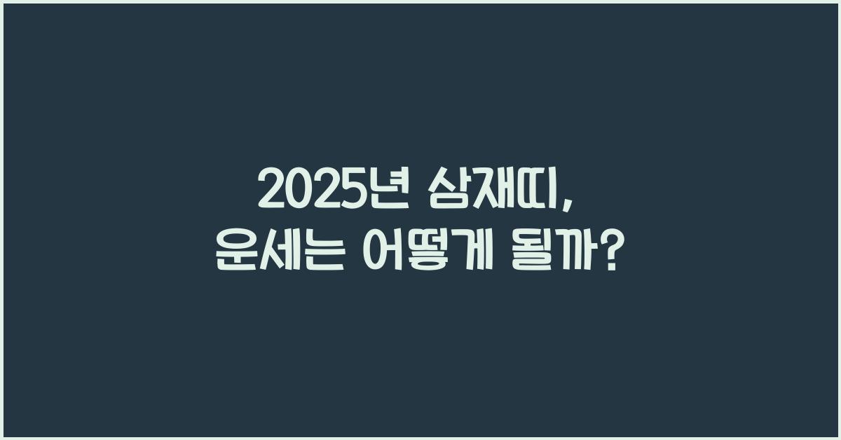 2025년 삼재띠