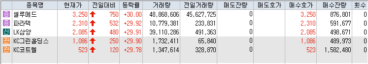 상한가-종목-리스트-캡처-이미지