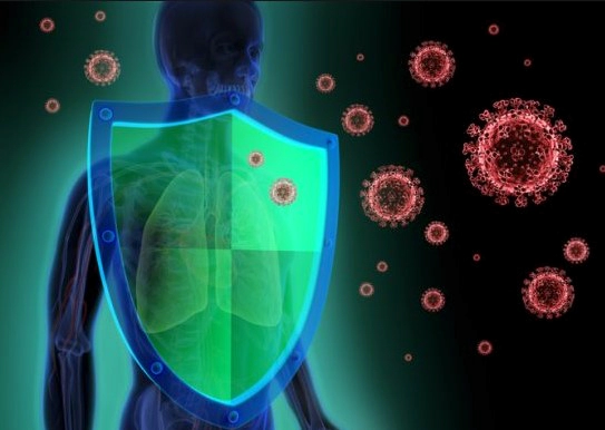 항원분해제 역할 과정 및 고양이 항원분해제