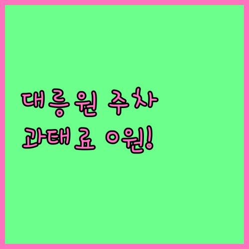 황리단길 대릉원 주차 과태료 방지 문..