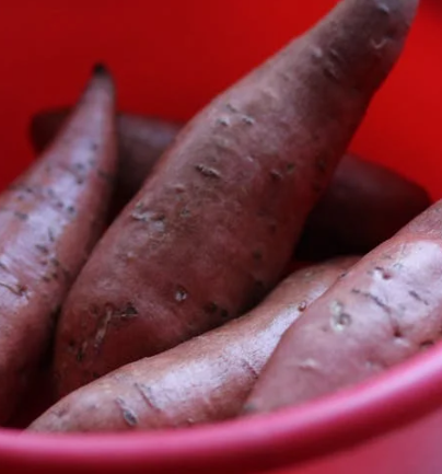 갑상선 항진증에 좋은 음식 10가지