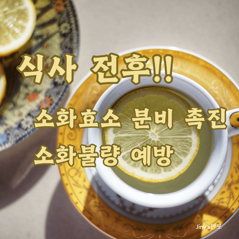 식사 전후에 마시는 레몬수의 효능