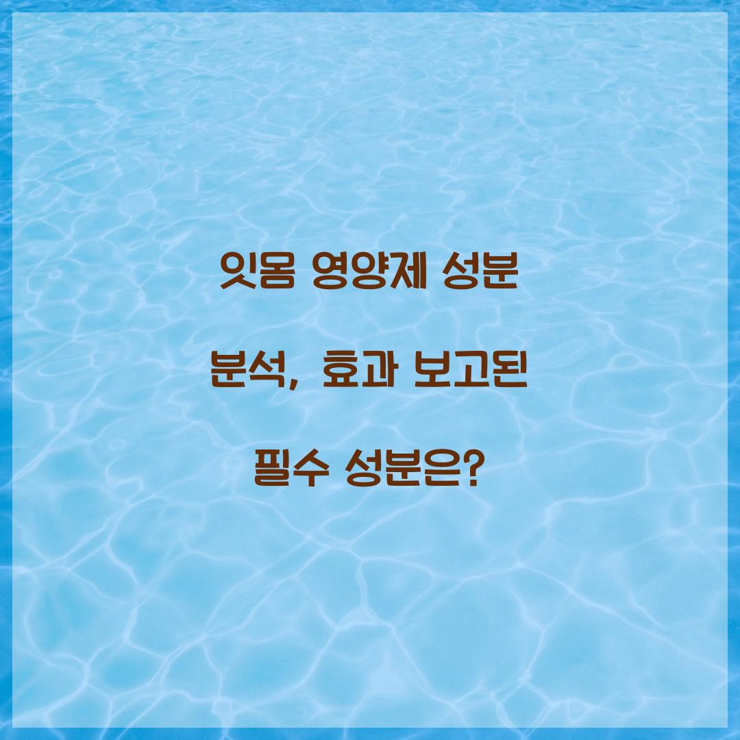 잇몸 영양제 성분