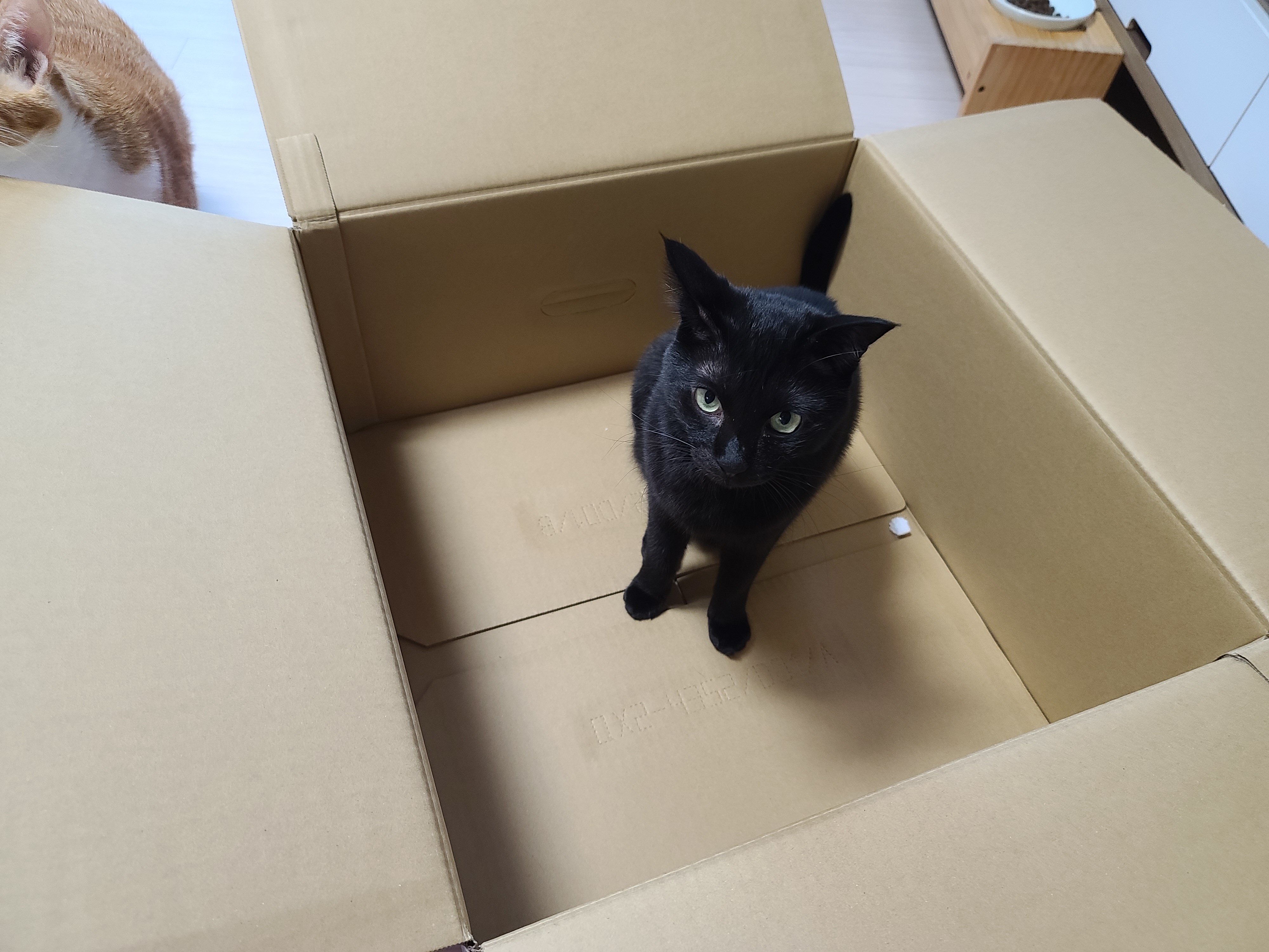 캐논 복합기 G3915