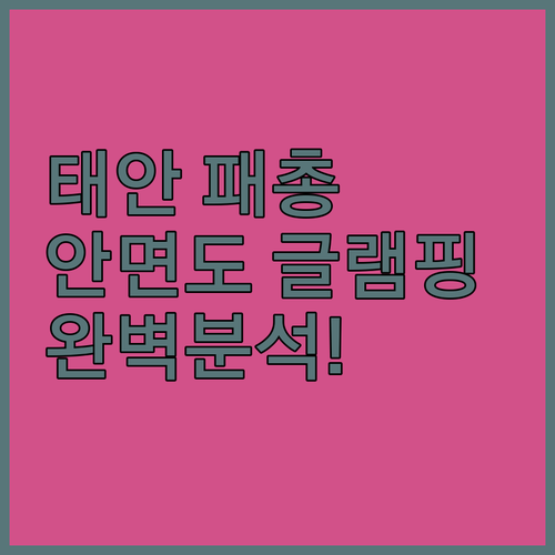 서해안 선사시대 유적 태안 승언리 패..