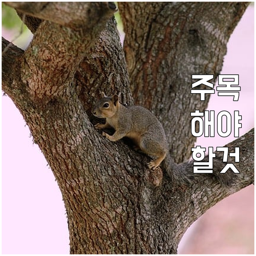 2025 부평구 보훈예우수당 신청 지..