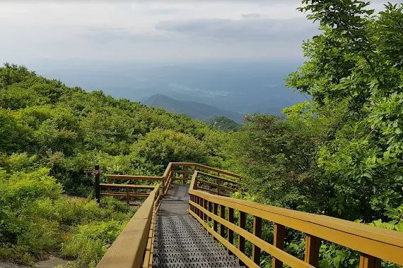 팔공산 하늘정원
