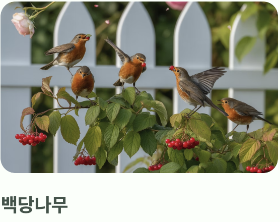 우리 집 정원에는 어떤 나무가 좋을까?