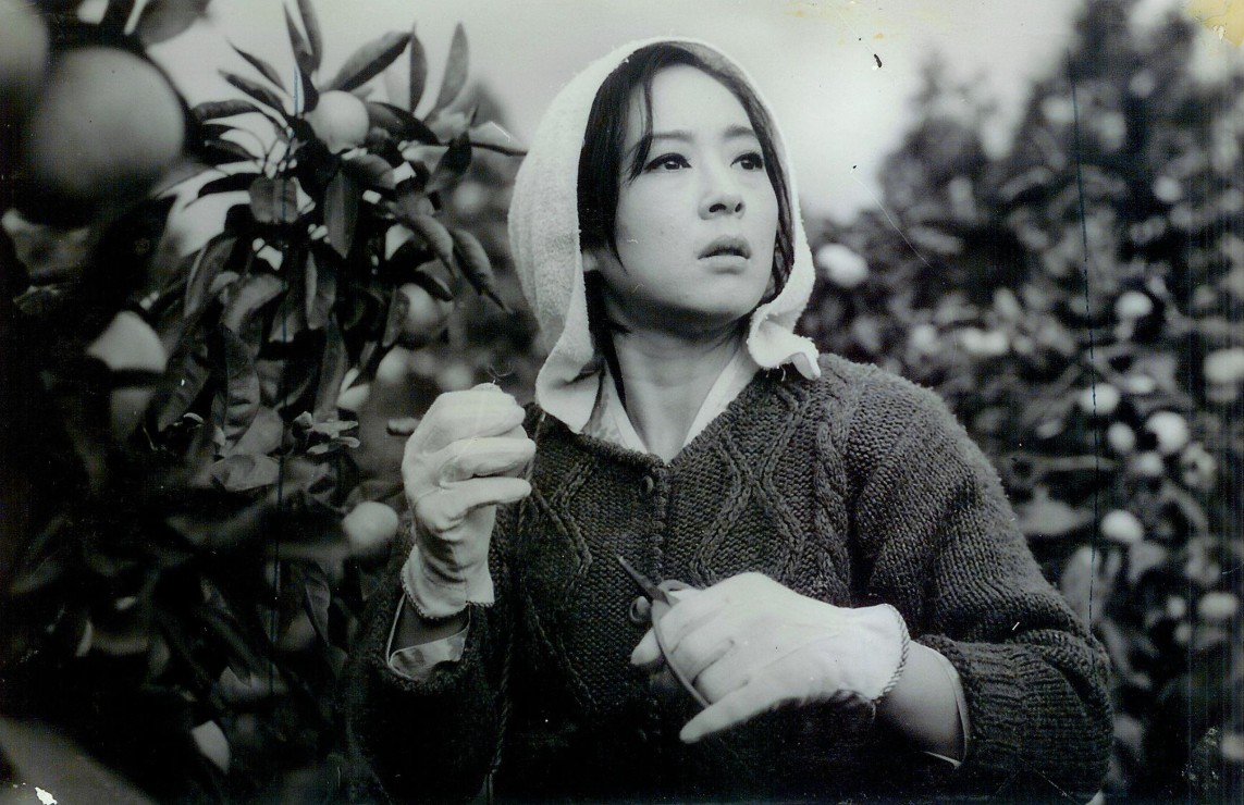 배우-김지미