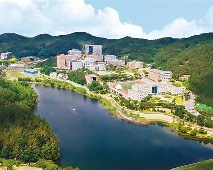 경상북도 대학 총정리｜4년제&middot;전문대&middot;특수대학 한눈에 보기