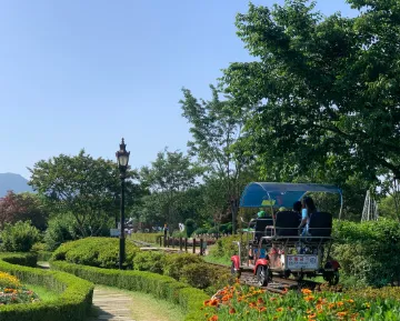 곡성세계장미축제 섬진강 레일바이크 예약