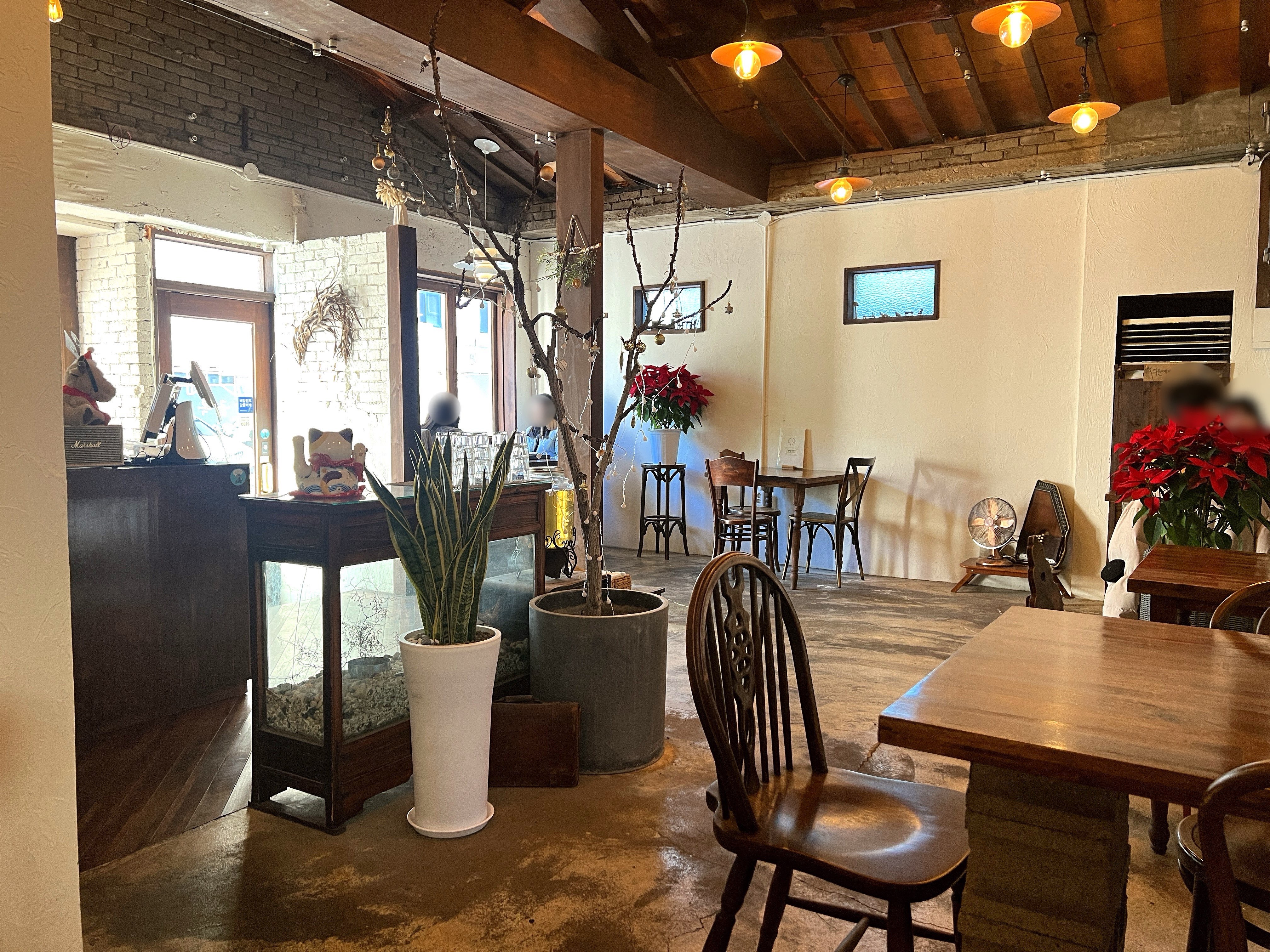 신안동 전대 밥집술집 골목카레