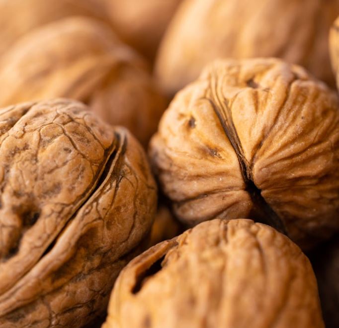 비염에 좋은 음식 10가지