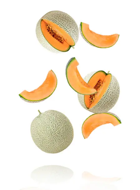 메론의 특징(멜론과 메론)
