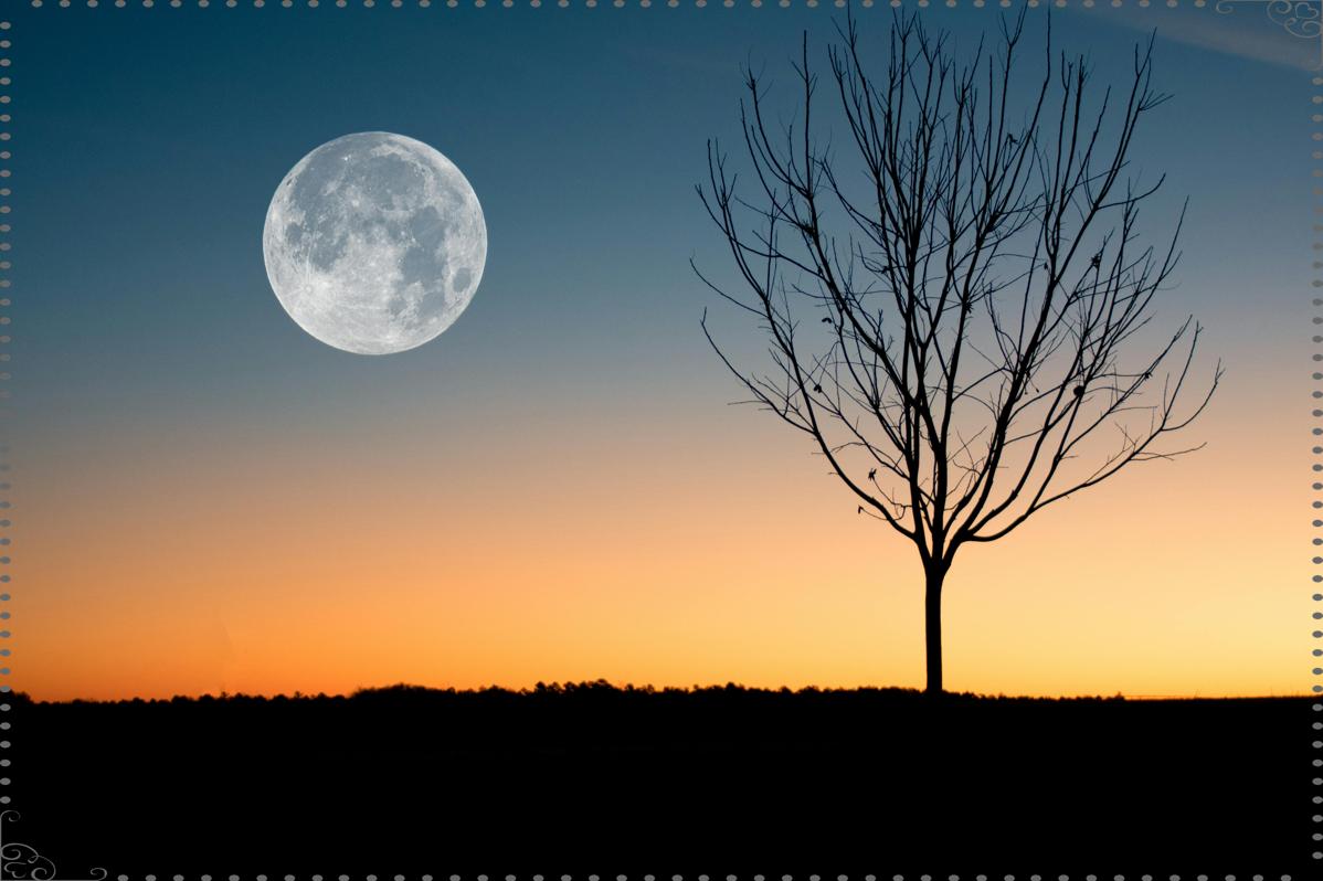 🌌 2025년 쌍둥이자리 운세부터 오늘의 운세까지&amp;#44; 별자리와 꿈 해몽 가이드