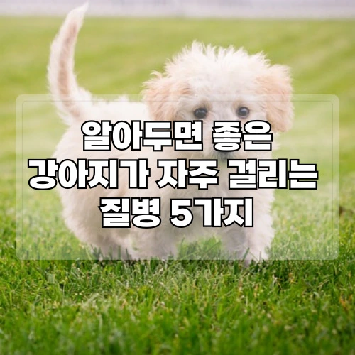 알아두면-좋은-강아지가-자주-걸리는-질병-5가지