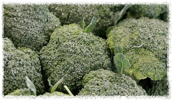 브로콜리-효능