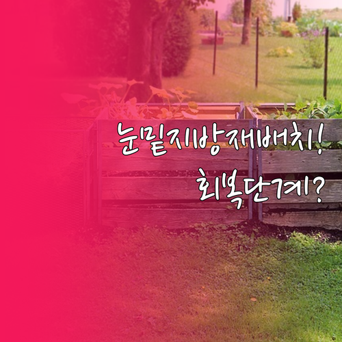 눈밑지방 재배치 회복 기간 단계별 정..