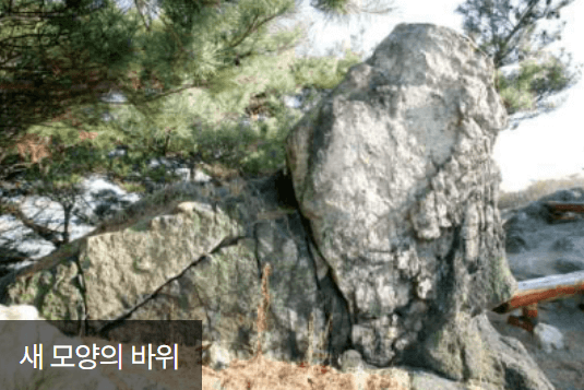 청와대 관람신청, 야간개장(야간관람신청)
