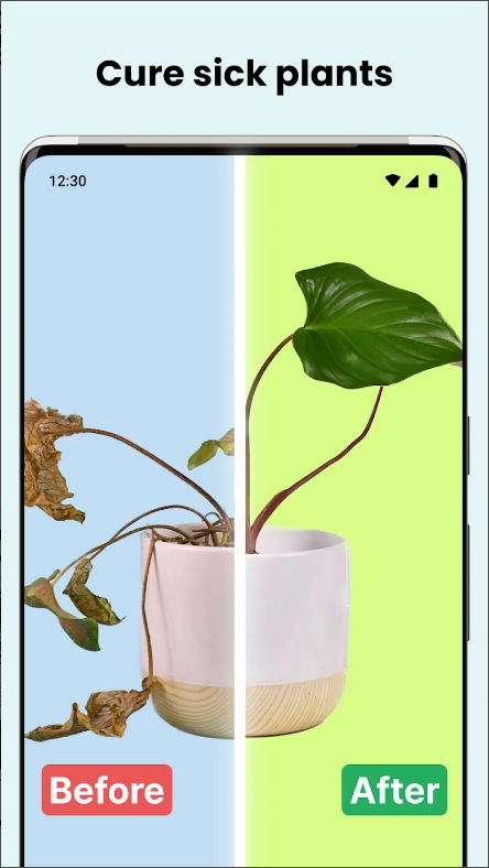 식물 이름 찾기 어플(PlantCam), AI 식물 식별, 꽃, 나무 인식 하기