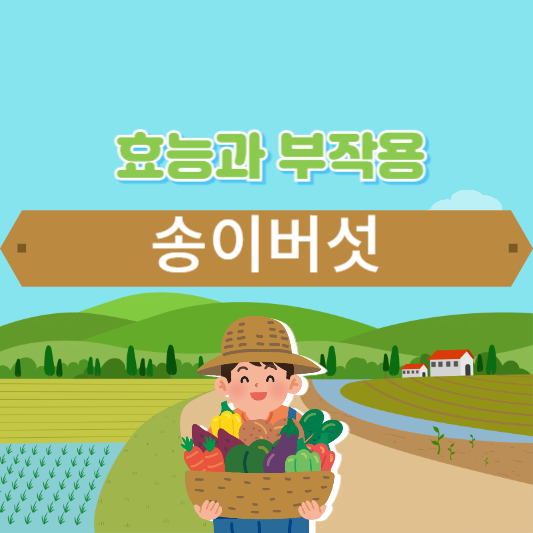 송이버섯의 효능과 부작용