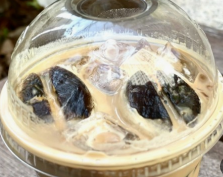 메가커피 레전드 메뉴 TOP 5