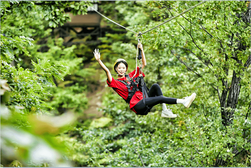 용인자연휴양림 짚라인