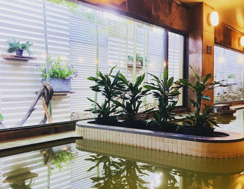 아리마온천 메이플아리마