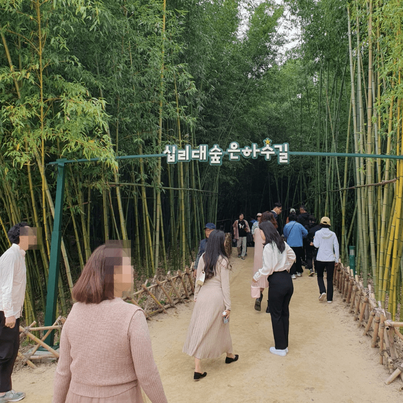 십리대숲