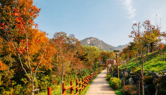 지하철로 떠날 수 있는 서울 근교 힐링 여행 8, 북한산둘레길(정릉숲길)