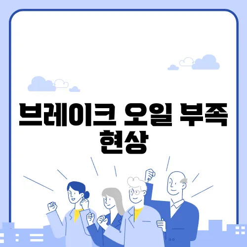 브레이크 오일 부족 현상