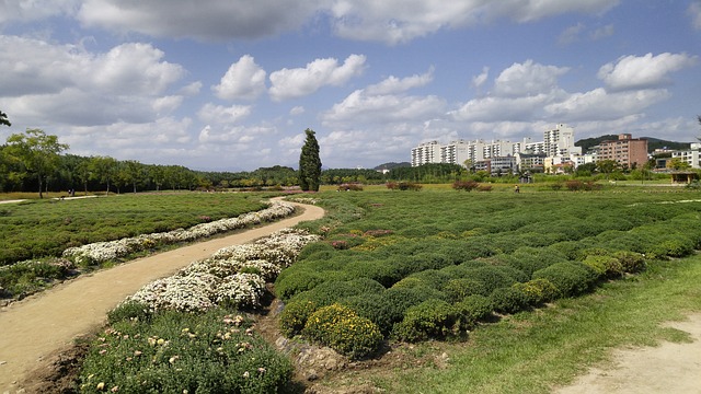울산02