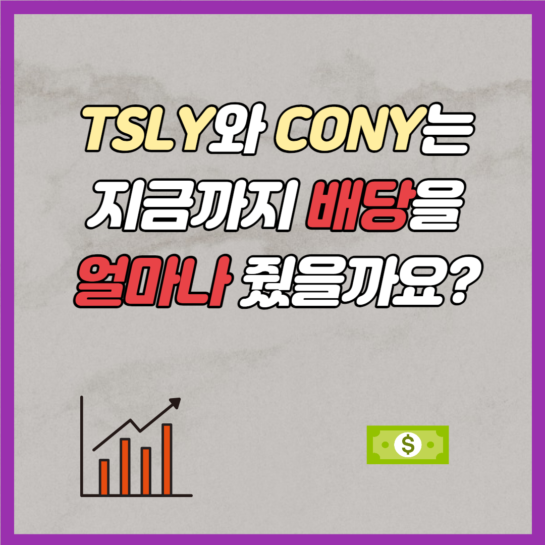 TSLY, CONY 배당
