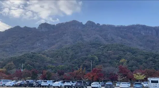 내장산단풍터널