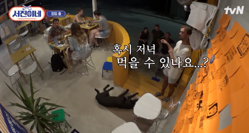 tvN 서진이네 식당