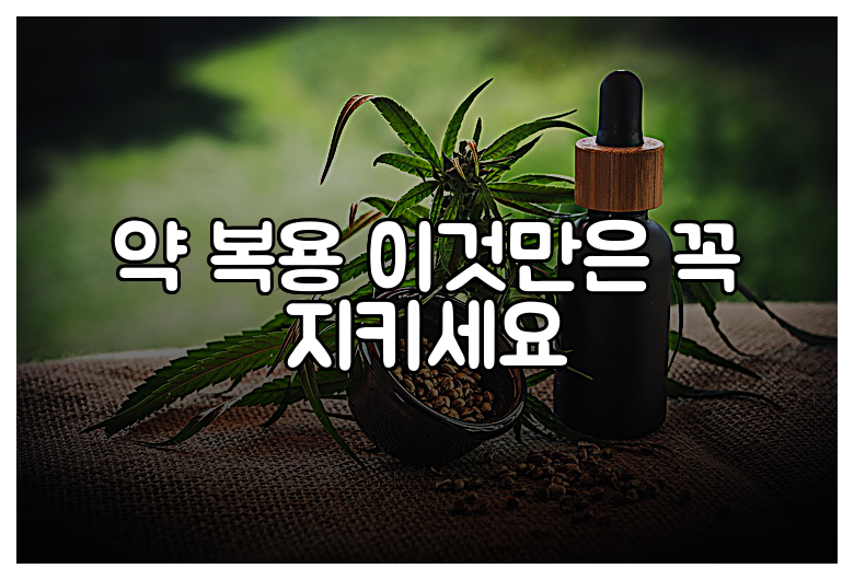 약 복용 이것만은 꼭 지키세요