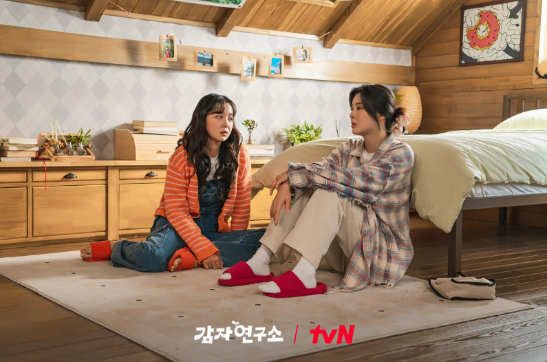 감자연구소 정주행 전 필수 정보! 등장인물&middot;공식영상&middot;OTT 비교