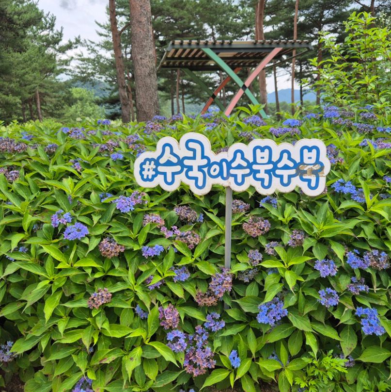 자라섬