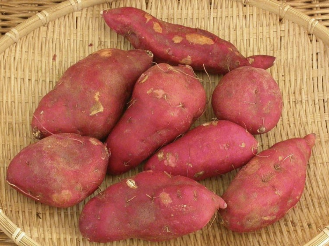 다이어트와 건강에 좋은 고구마