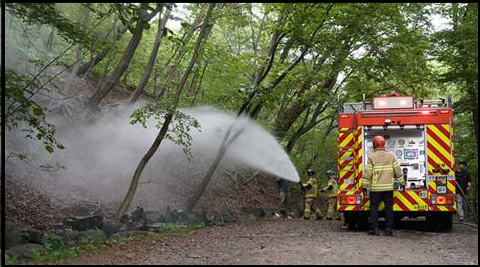 방제 현장 사진