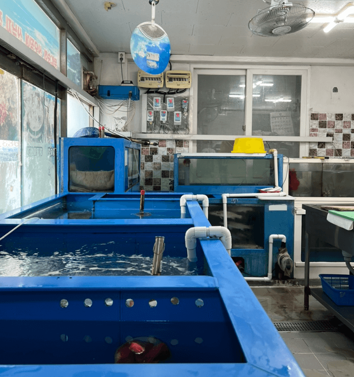 대구 화원읍 현지인 맛집 서민회수산 화원진천점&amp;#44; 로컬 찐 맛집 추천