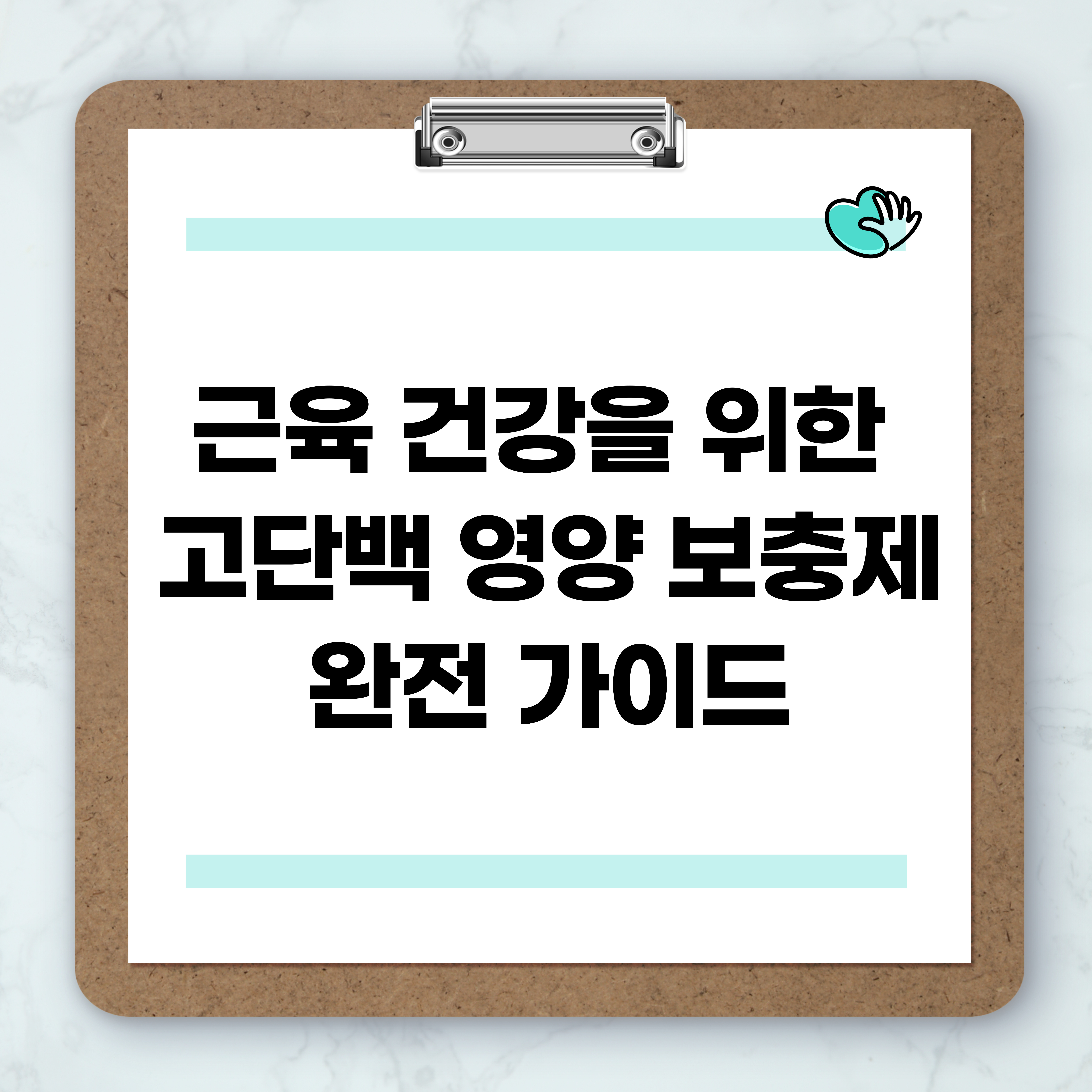 근육 건강을 위한 고단백 영양 보충제 완전 가이드