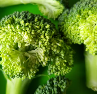 당뇨병에 좋은 음식 영양제 식단